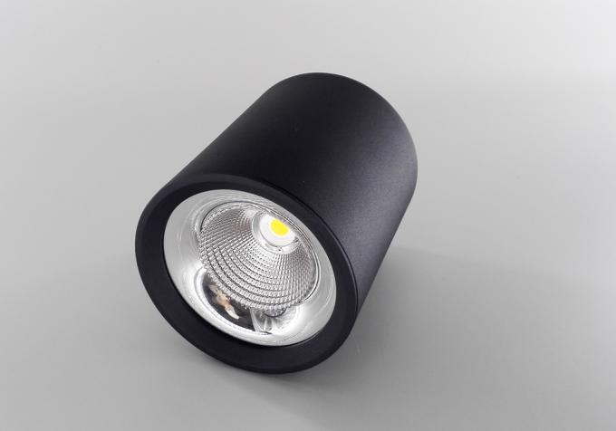 Techo montado superficie negra de aluminio del LED que enciende 20 W para las tiendas de la moda