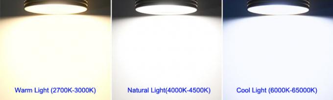 Techo montado superficie negra de aluminio del LED que enciende 20 W para las tiendas de la moda