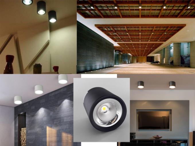 Techo montado superficie negra de aluminio del LED que enciende 20 W para las tiendas de la moda