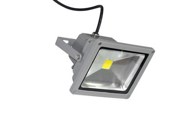 CRI70 luz de inundación de la prenda impermeable LED de 20 vatios color del accesorio del gris de plata/del negro de 60 grados