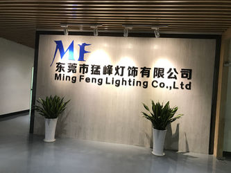China Ming Feng Lighting Co.,Ltd.