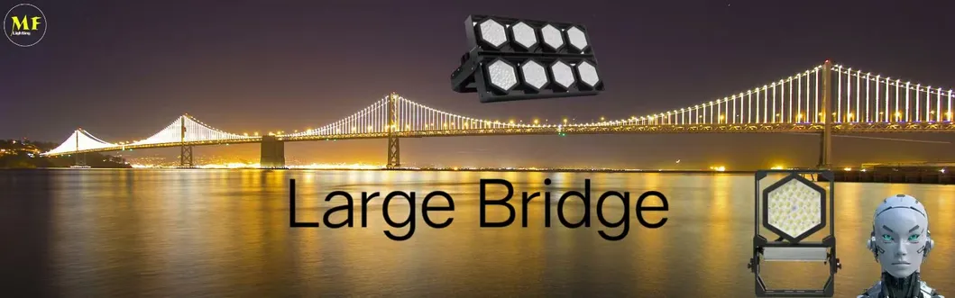 LED Sport Stadium Light Paisaje al aire libre Modular Color Negro Anticorrosión Alto controlador 140lm/W IP67 Ik08 7