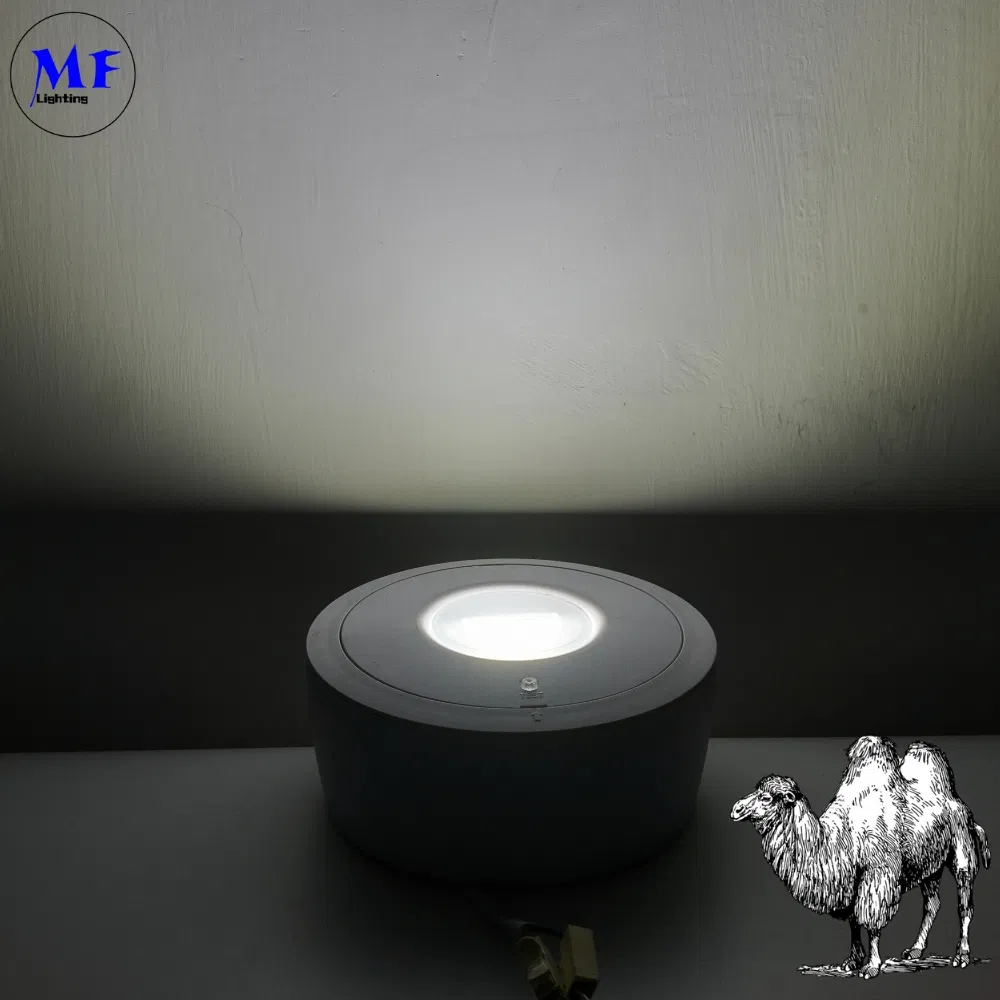 Luz de señal de salida de emergencia LED de pánico empotrada IP65 con batería de respaldo recargable para escuela pública, hospital, blanca 3