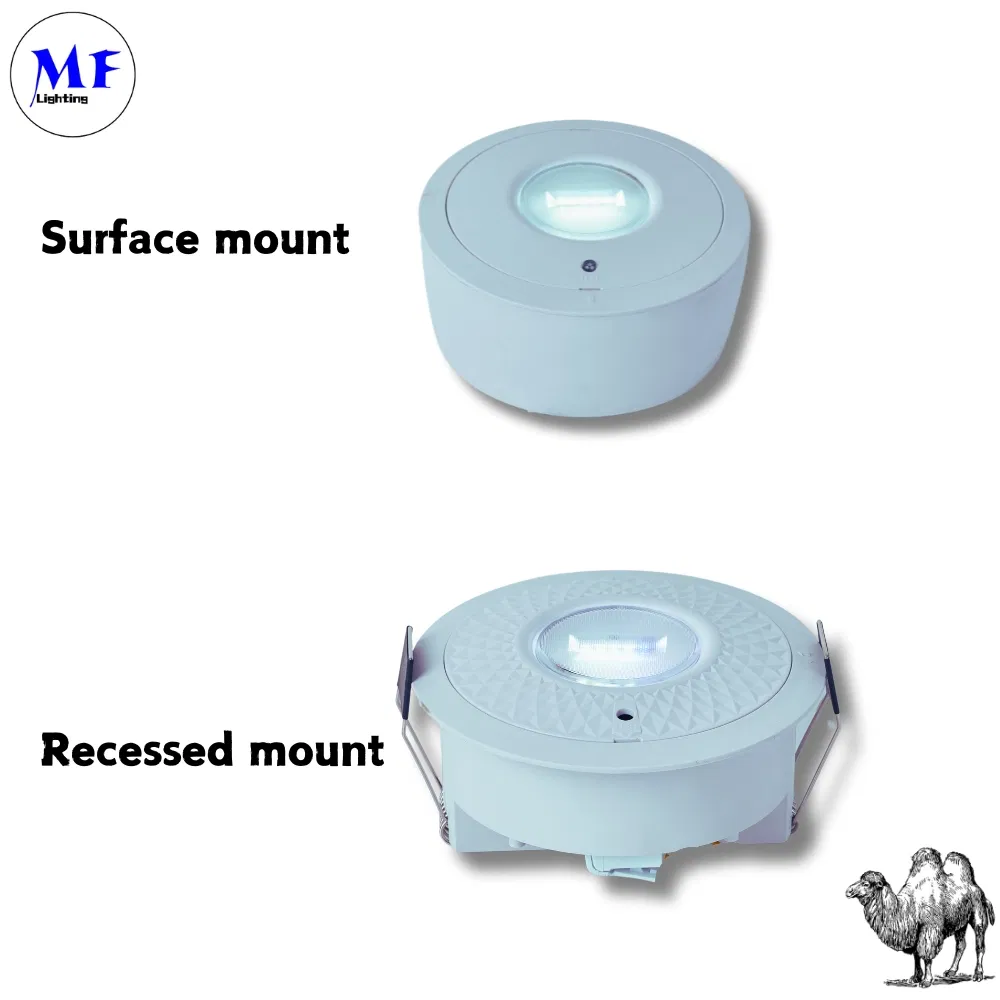 Luz de señal de salida de emergencia LED de pánico empotrada IP65 con batería de respaldo recargable para escuela pública, hospital, blanca 4