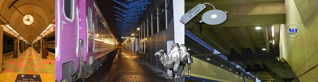 Luz baja, pánico, escape de emergencia, señal de salida, luz 3h IP65 Batería, taller comercial, centro comercial 10
