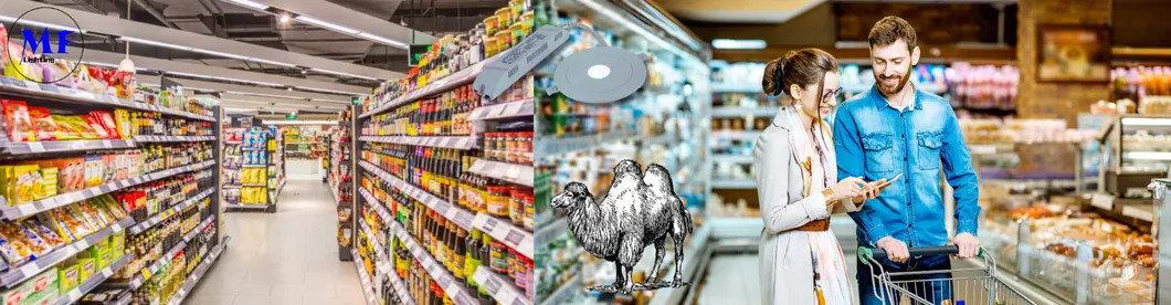 Luz baja, pánico, escape de emergencia, señal de salida, luz 3h IP65 Batería, taller comercial, centro comercial 11