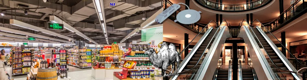 Luz baja, pánico, escape de emergencia, señal de salida, luz 3h IP65 Batería, taller comercial, centro comercial 12