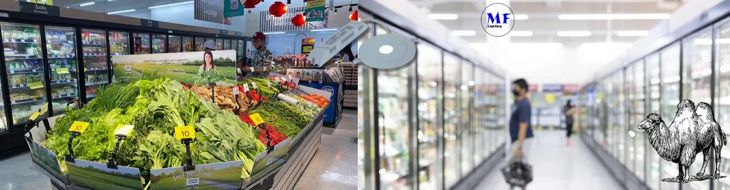 Luz baja, pánico, escape de emergencia, señal de salida, luz 3h IP65 Batería, taller comercial, centro comercial 13