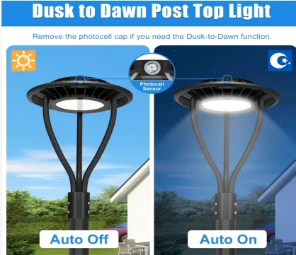 Luz de jardín LED Ajustable Antimodedad IP65 150W Inmune a agua 140lm/W Negro El jardín de la hada 0