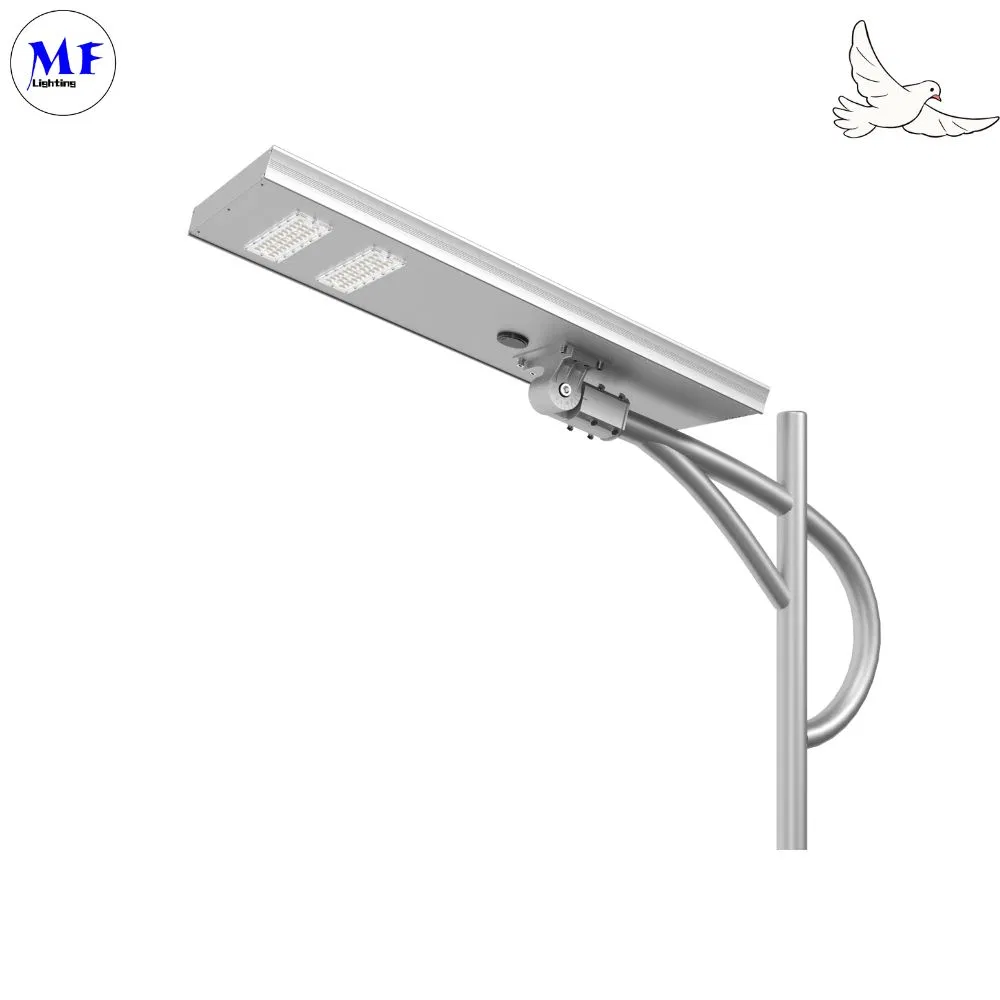 LED Solar Street Garden Light Sensor de movimiento Blanco Plata 120W 100W 80W Alu. IP66 Paseo por el patio de la villa 0