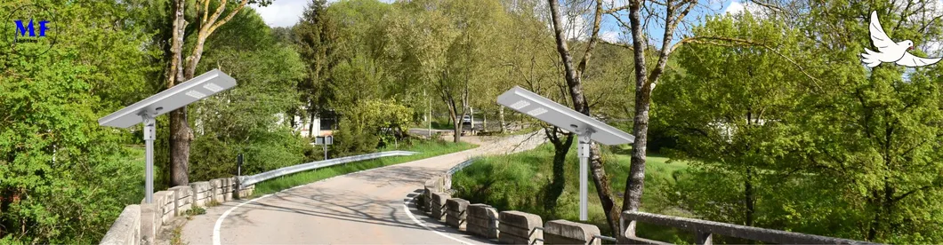 LED Solar Street Garden Light Sensor de movimiento Blanco Plata 120W 100W 80W Alu. IP66 Paseo por el patio de la villa 5