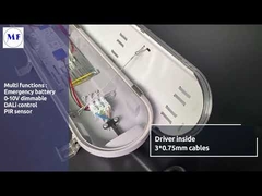 Luz LED Triproof IP65 Montada en Superficie con Difusor Opal