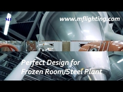 Luminaria LED Tri Proof de 600 mm 25 W con difusor de vidrio templado