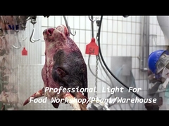 1200 mm IP68 a prueba de agua Tri Proof LED Light Chain Bracket Montado