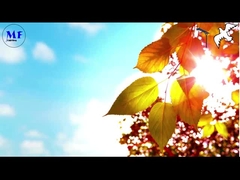 Lámpara de calle con luz solar