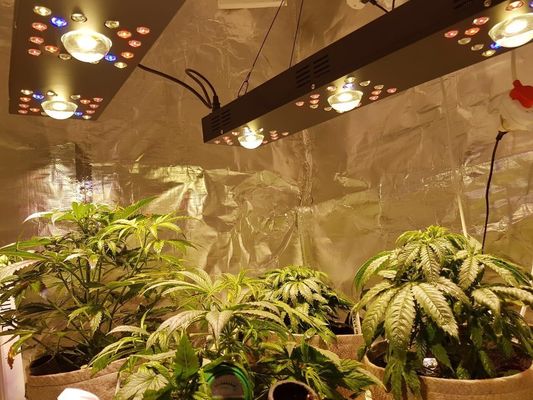 280W Full Spectrum UV IR Led Growth Lights Gardening Timing Dimmer 2 ON / OFF Switch