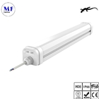 10W-50W 2FT 4FT 5FT LED Tri Proof Light With IP66 Waterproof CCT Power Switch For Underground Tunnel Passageway
