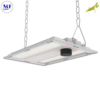 240W IP66 LED Linear High Bay Lighting 7 Years Warranty Waterproof 170lm/W Industrial Light For Exhibition Hall