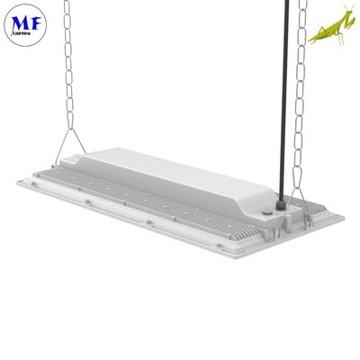 240W IP66 LED Linear High Bay Lighting 7 Years Warranty Waterproof 170lm/W Industrial Light For Exhibition Hall