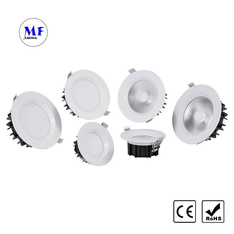 Factory Price IP40 SMD LED Recessed Ceiling Downlight, Triac 0-10V Dali Dali-2 Dt6 Dt8 Dimmable, Smart Zigbee Tuya WiFi Control, Indoor Down Light for Office