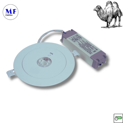ABS PC IP43 Interior 3W LED Recargable de emergencia de respaldo de retroceso Downlight 3 horas de larga duración 230V LED Luz de emergencia para oficina Hotel Factory