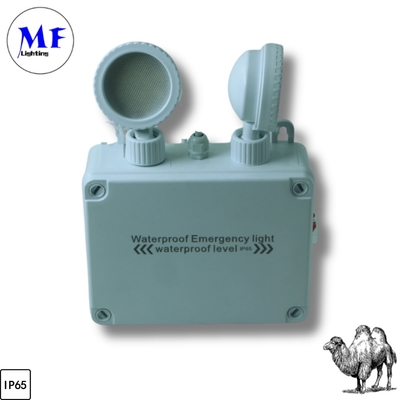 IP65 resistente al agua en interiores y exteriores Batería de 3 horas 24 horas Duración larga Techo de pared colgante Monte de salida de luz LED de emergencia de color blanco verde para oficina de hotel