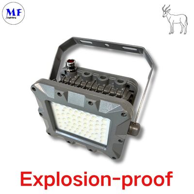 Luminaria LED a prueba de explosiones EATON para minería en alta mar, IP66, 50W 75W 100W 150W 200W 240W 300W 350W 400W, zona de petróleo, a prueba de explosiones