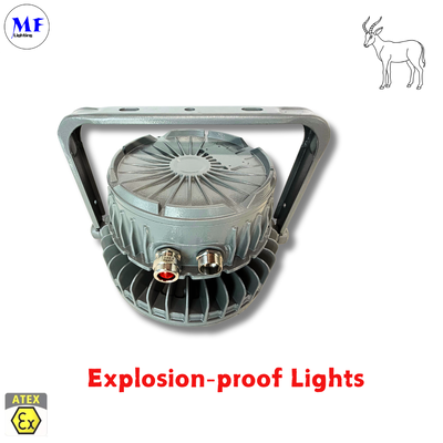 IP66 IK08 5 años de garantía Varias formas de instalación Ra>80 Certificado ATEX Aluminio fundido a presión Antideflagrante Highbay Light