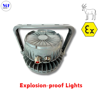 OEM ODM IP66 IK08 Lámpara Atex A prueba de explosión LED Highbay Light 140LM/W IP66 IK08 50W 100W 150W 200W 300W 400W Con lente de vidrio templado Para gas de petróleo Minería química Zona peligrosa